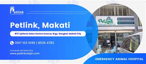 makati vet|Pet Link Wellness Center and Veterinary Clinic.